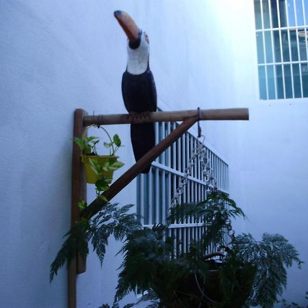 Aconchego Dos Milagres Villa Sao Miguel dos Milagres Bagian luar foto