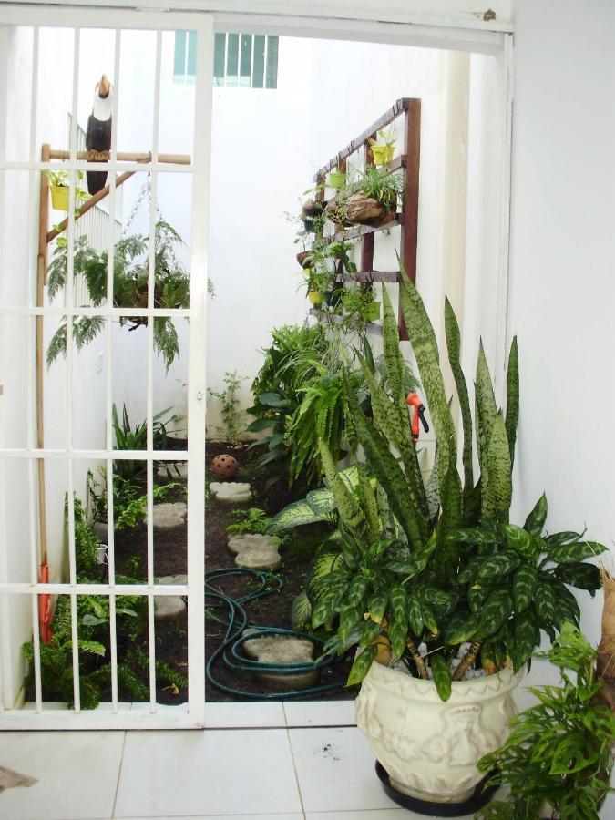 Aconchego Dos Milagres Villa Sao Miguel dos Milagres Bagian luar foto